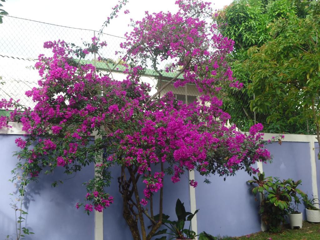 Hotel Jardin Del Carmen San Salvador Zewnętrze zdjęcie